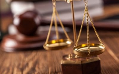 Court Watch February 2017